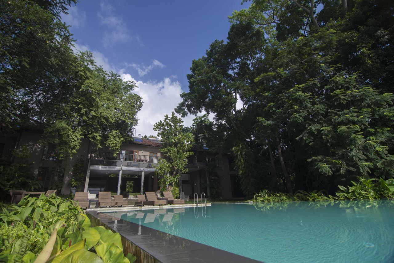 Roman Lake Ayurveda Boutique Resort - Level 1 Certified Ahungalla Dış mekan fotoğraf